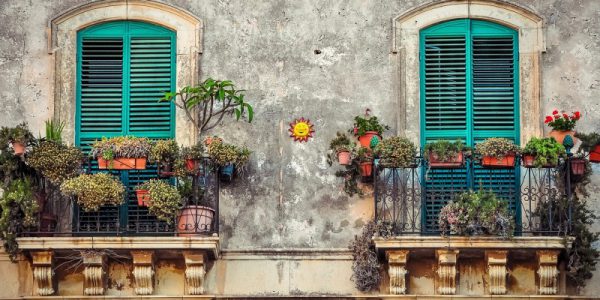 jakie rośliny na balkon